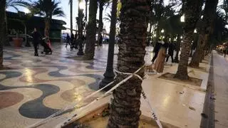 La alerta amarilla por viento obliga a Alicante a mantener el cierre de veladores y parques para el lunes
