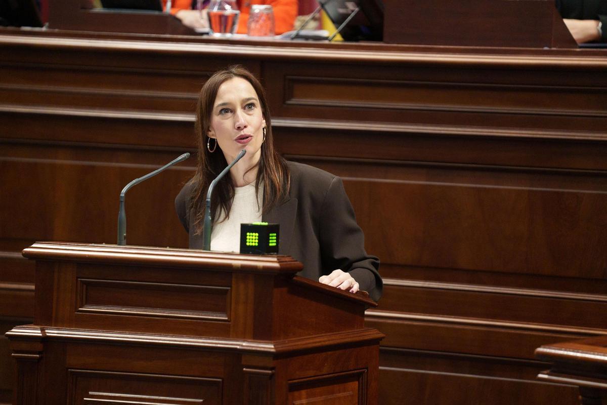 La diputada del PSOE, Nira Fierro, en su intervención de este jueves en el Debate del estado de la nacionalidad canaria.