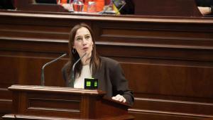 La diputada del PSOE, Nira Fierro, en su intervención de este jueves en el Debate del estado de la nacionalidad canaria.
