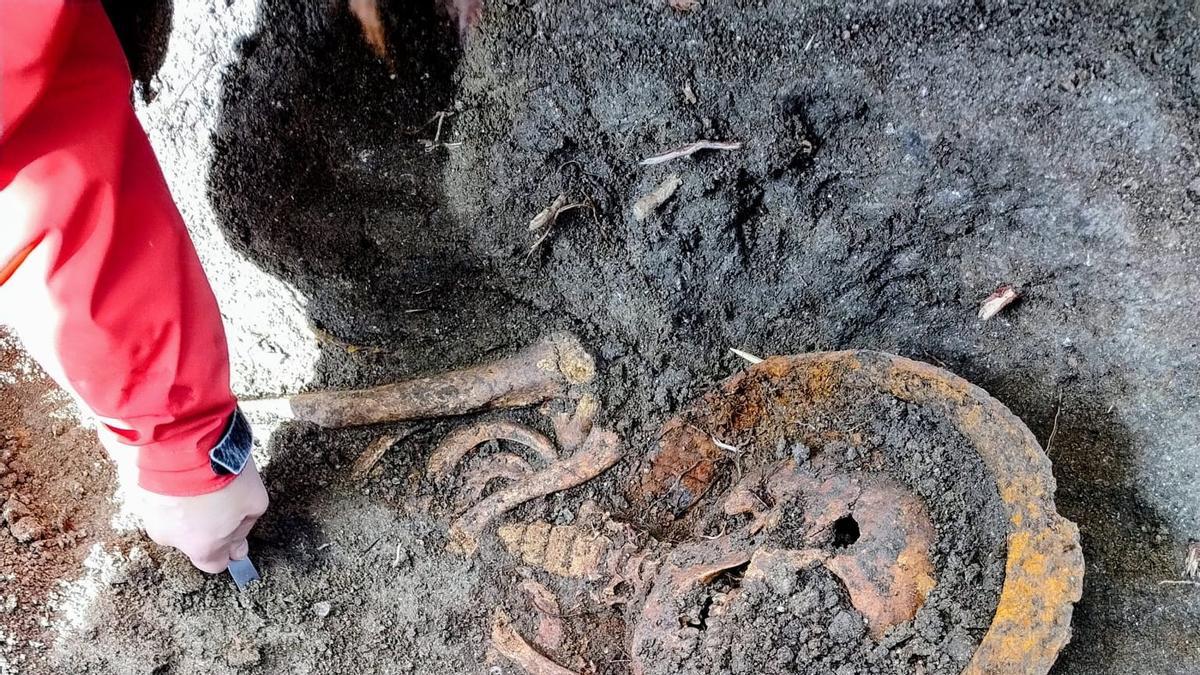 Exhumados los restos mortales de un posible brigadista fallecido en la batalla de Brunete.