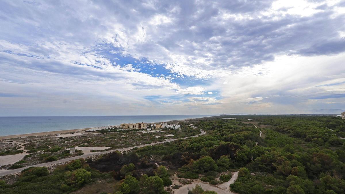 Vista área de la porción calcinada en la imponente masa forestal de la Devesa del Saler