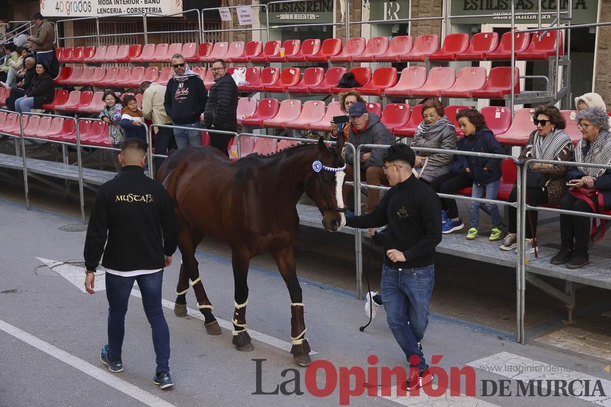 Concurso de caballo a pelo: pasacalles hasta el Hoyo en Caravaca