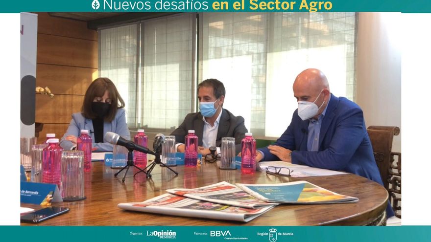 Mesa de Expertos BBVA - La apuesta decidida de la agricultura por la innovación (II)