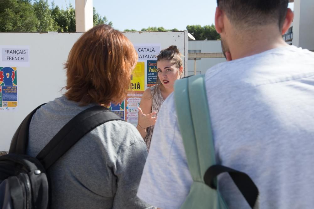 12 campanadas o comida vegana en foodtrucks para dar la Bienvenida a la UA