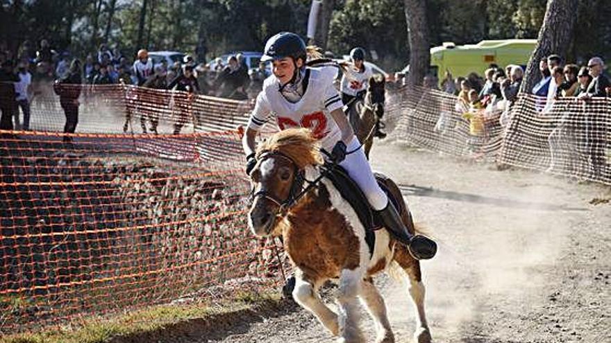 La cursa d&#039;ases, ponis, mules i cavalls de la Festa dels Traginers es va celebrar al castell de Balsareny