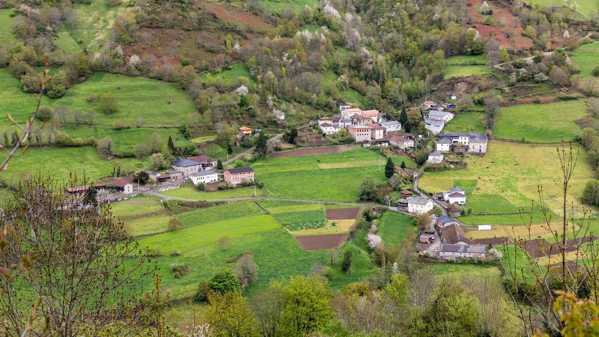 Cangas del Narcea, Asturias