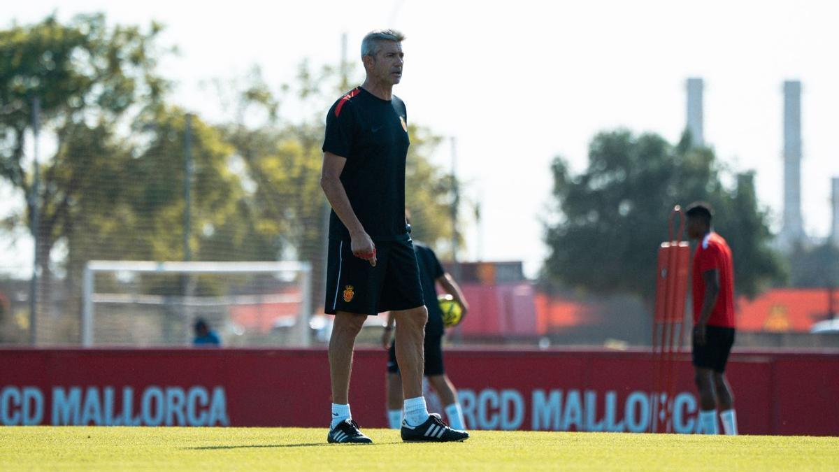 Pep Lluís Martí, en Son Bibiloni.