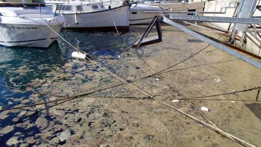 Una «baba» de fitoplancton cubre calas y puertos en Xàbia, Moraira y Benissa