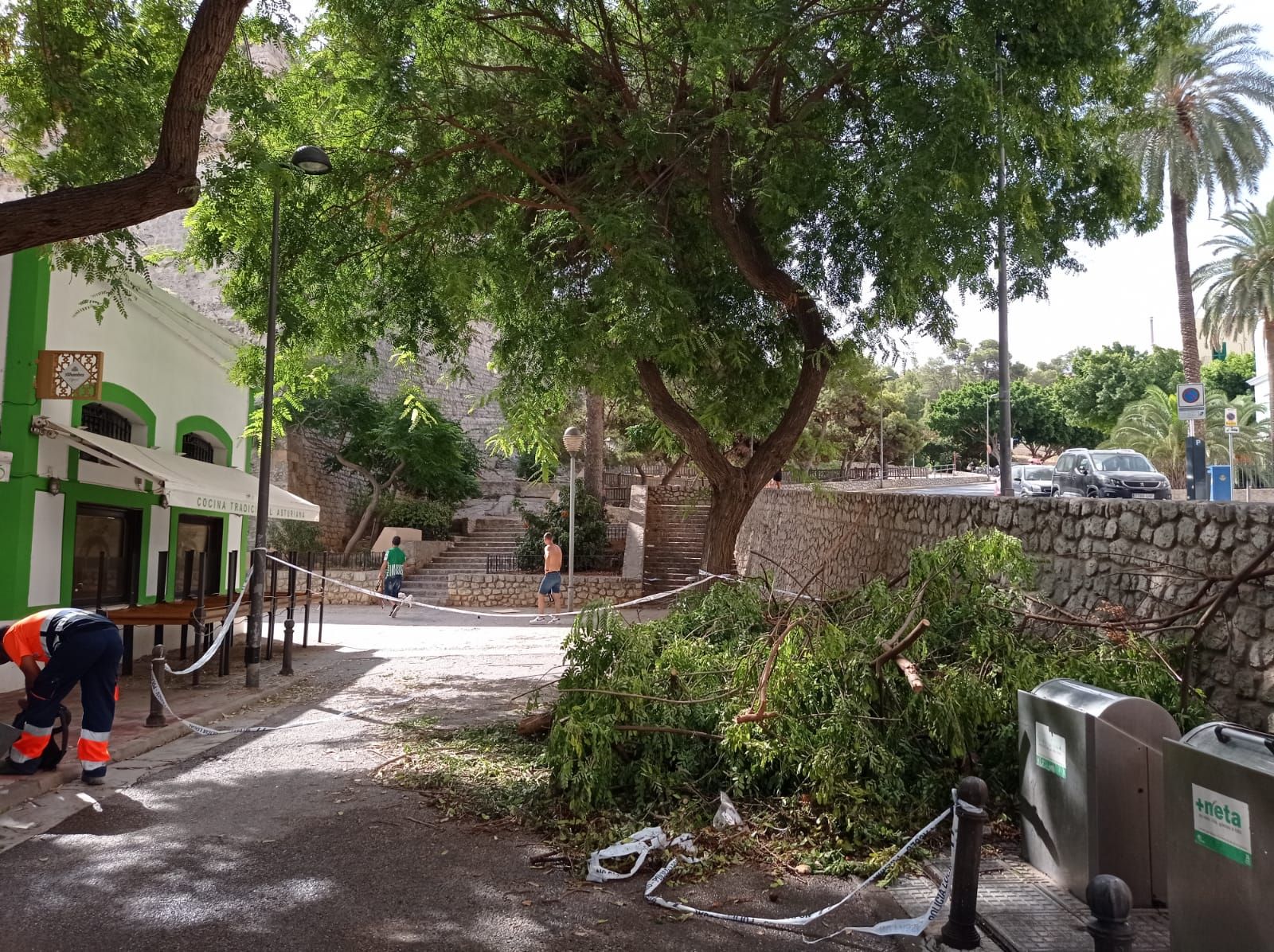 Intensa jornada con barcos varados, hundidos y árboles caídos por el viento en Ibiza y Formentera