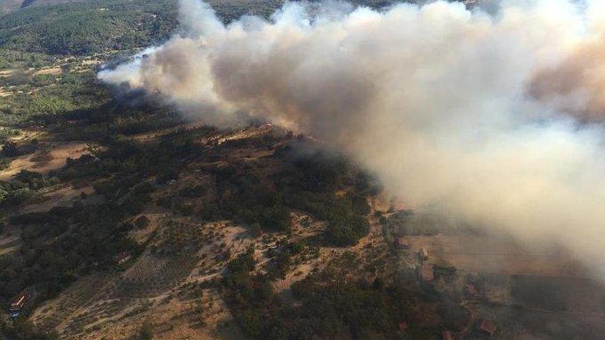 Activado el nivel 1 de peligrosidad por un incendio en Villanueva de la Vera