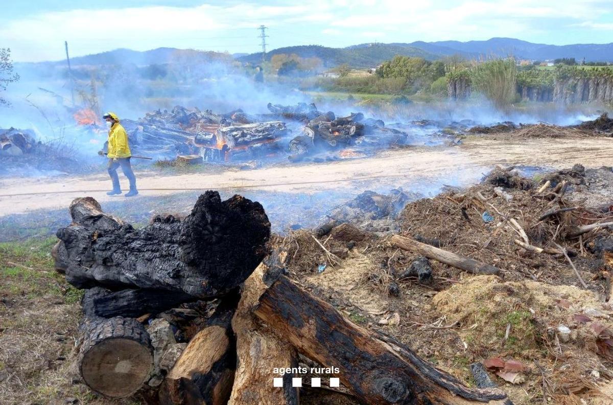 Foc de Blanes, causat per una crema mal apagada
