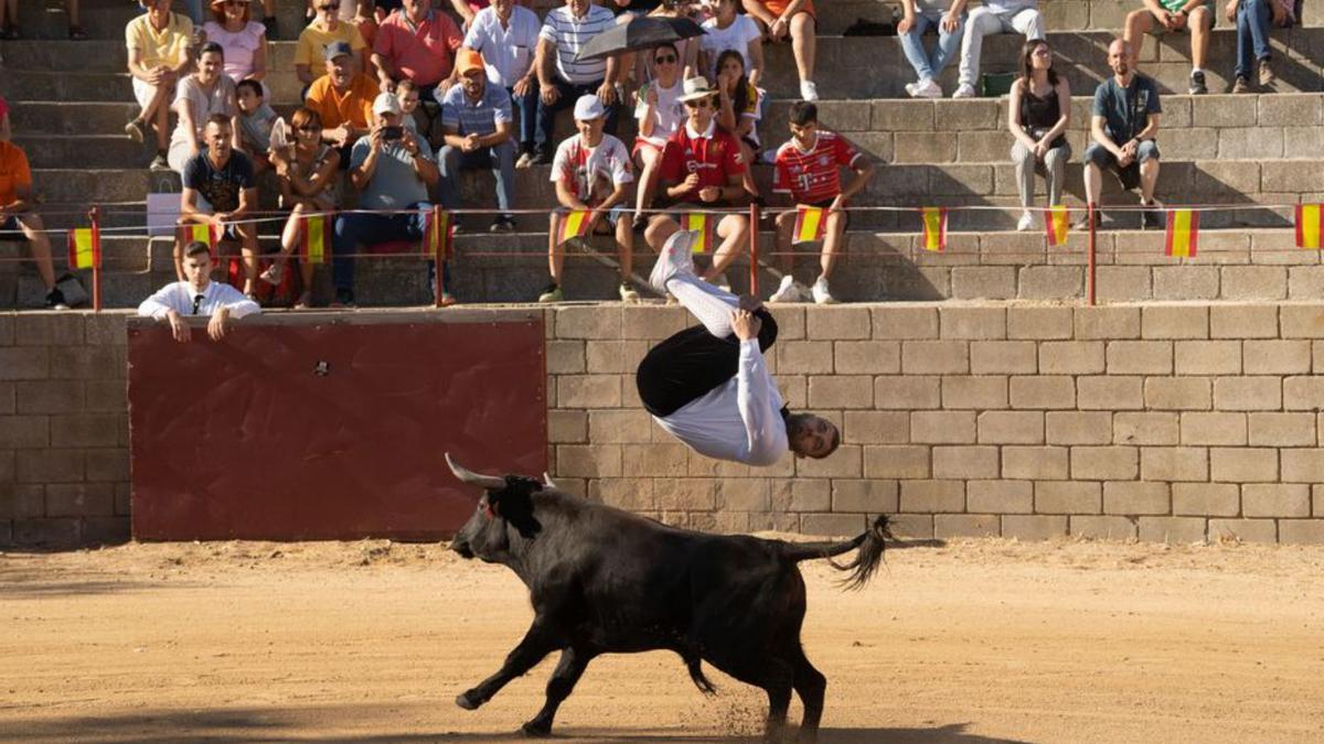 Salto con voltereta sobre un toro. | José Luis Fernández