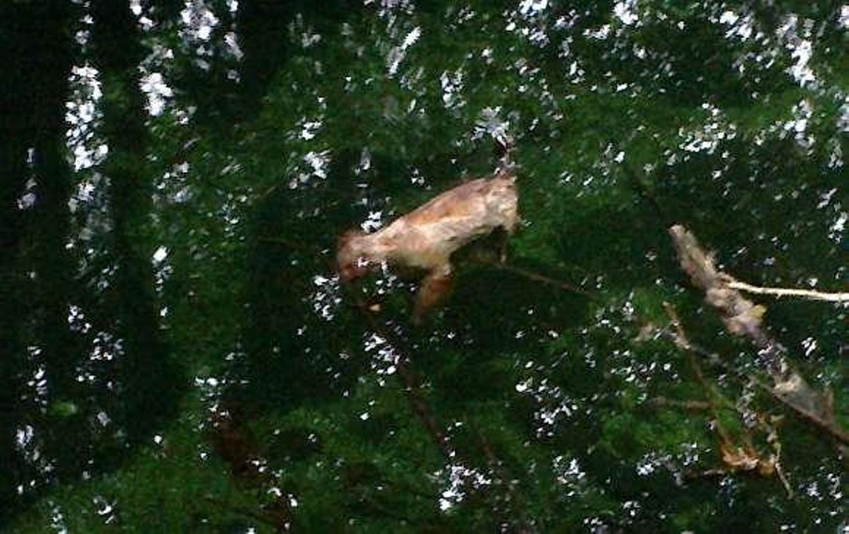 Vilatuxe recibe peticiones vecinales para revisar la calidad del agua de Pozo do Boi