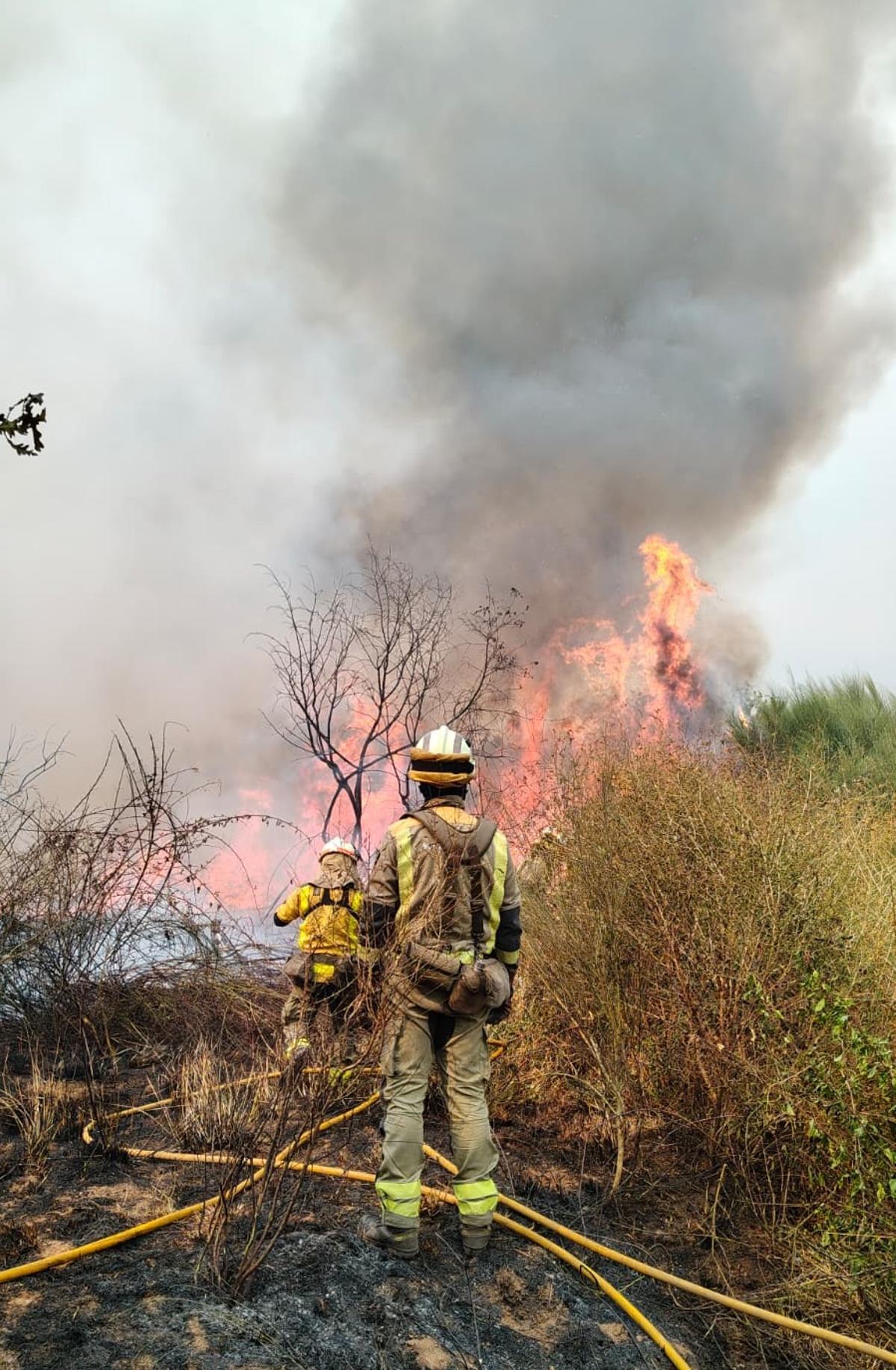 Bomberos forestales de la 'Brigada Vigo', en una intervención.