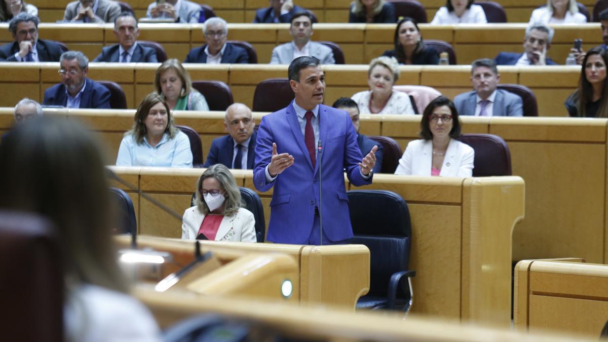 El president del govern espanyol, Pedro Sánchez, a la sessió de control del Senat