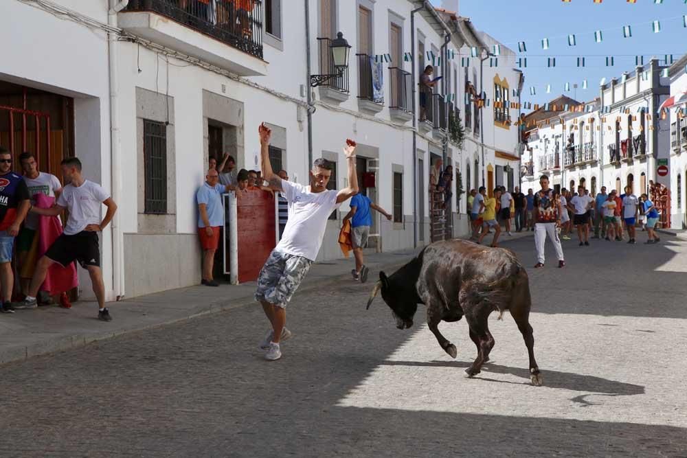 Encierros de Villanueva del Duque