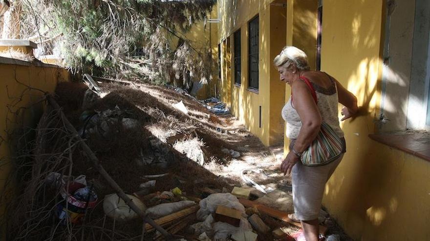 Carmela Fernández, presidenta vecinal de Campanillas, se abre paso entre las montañas de agujas de pino y basura, en la fachada principal de la piscina.