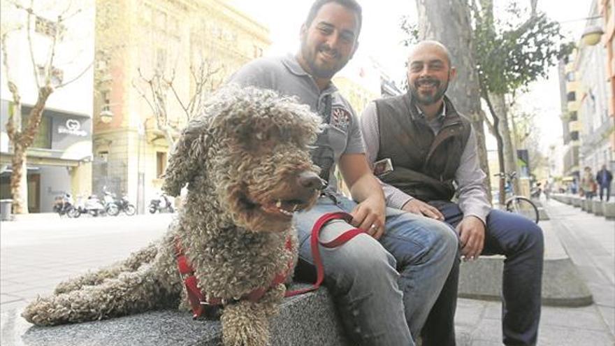 Sobre el valor canino