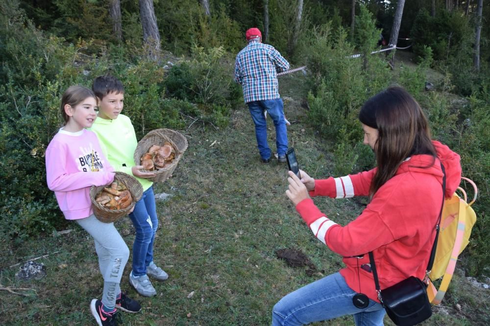 Concurs boletaire de Puigventós