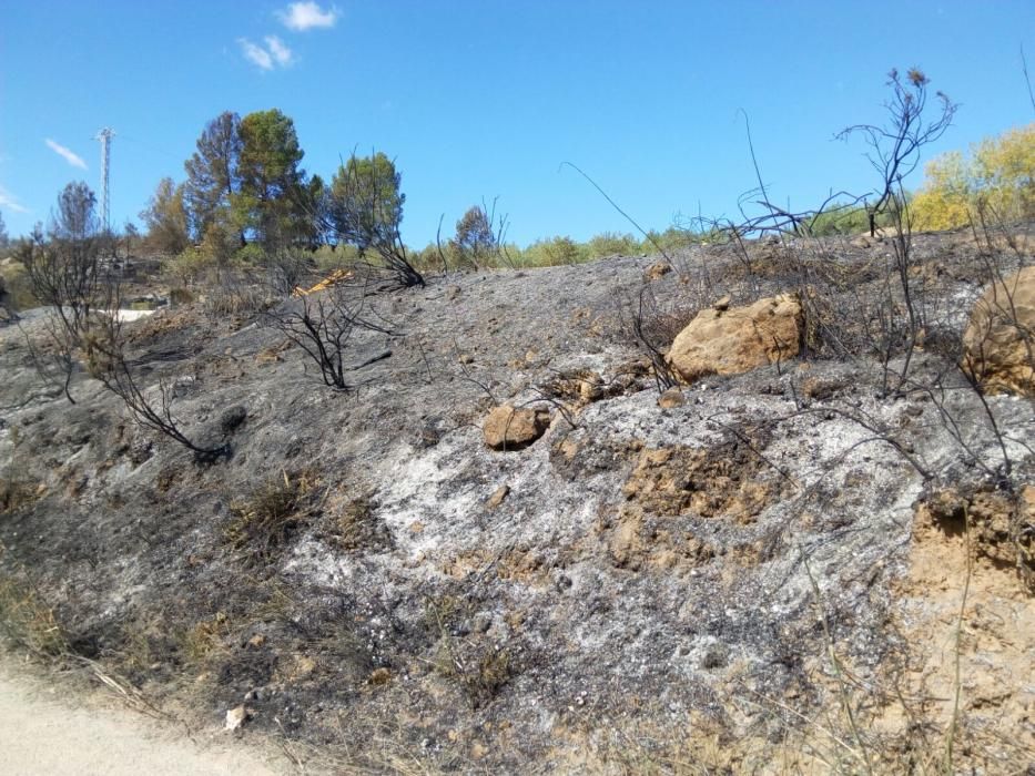 Paisaje que ha quedado en Bolbaite tras el paso del fuego.