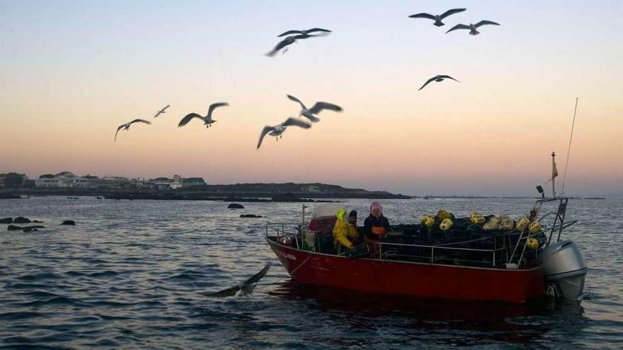 Una embarcación captura nécora en una ría gallega.