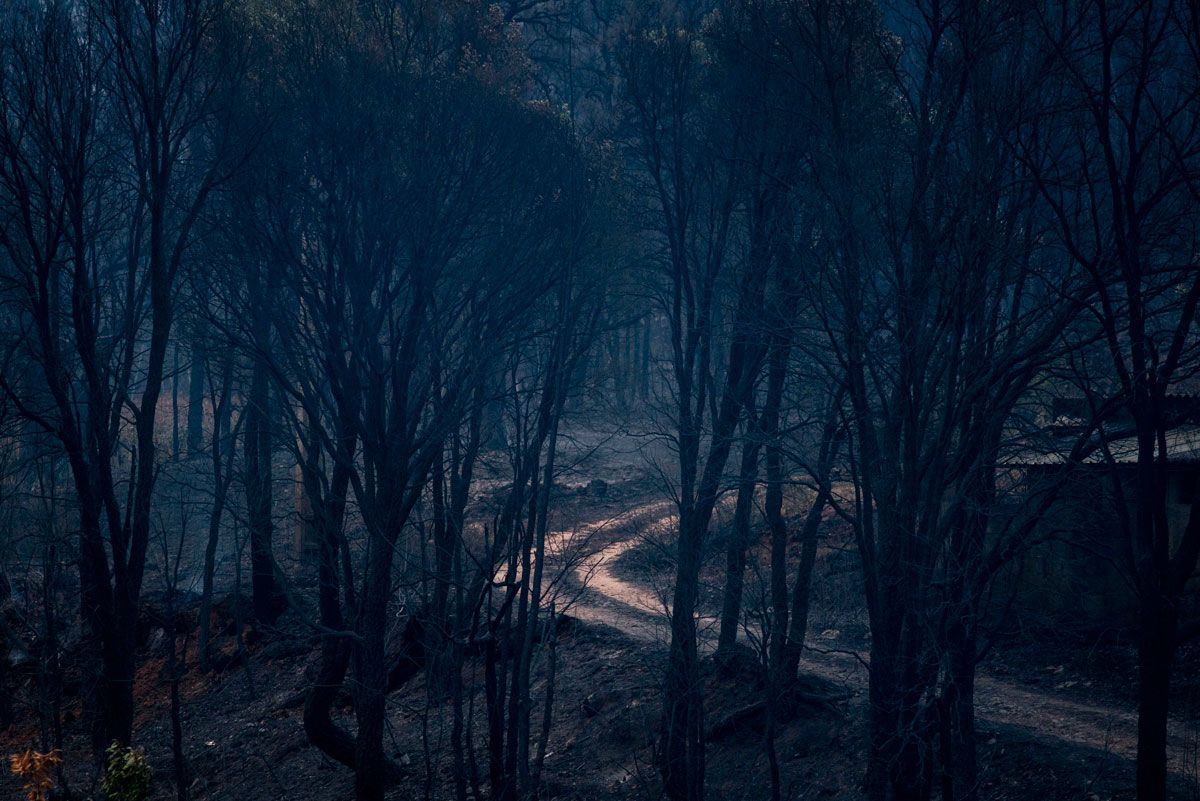 Incendio forestal en A Veiga de Cascallá, en Rubiá (Ourense)