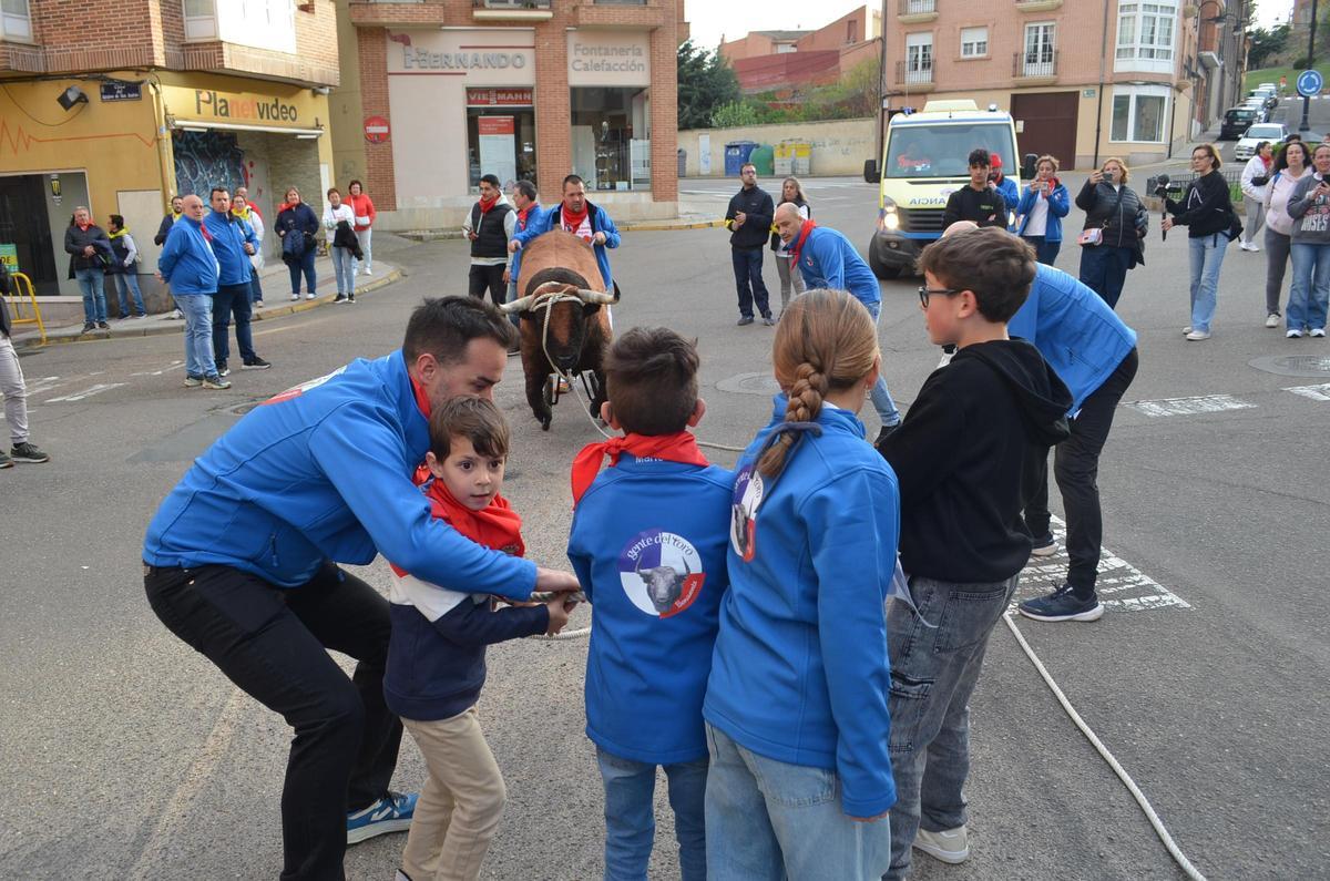 La XXI Carrera del Toro Enmaromado en La Veguilla, en imágenes