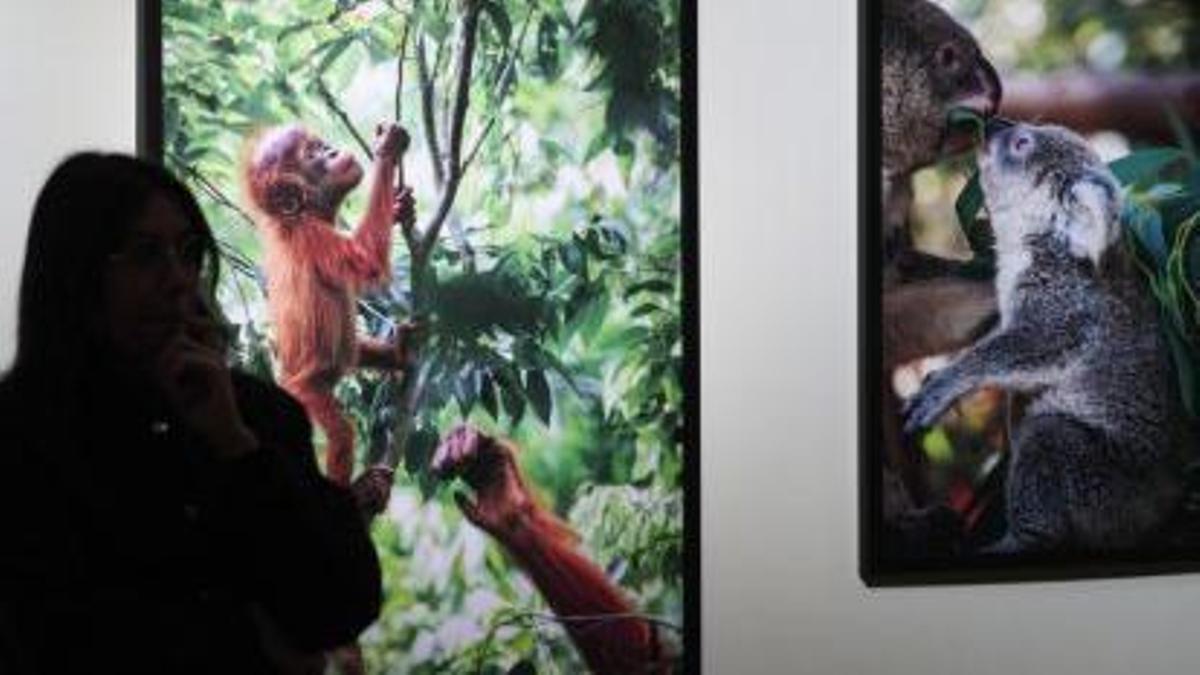 Qué hacer hoy 2 de abril en Vigo