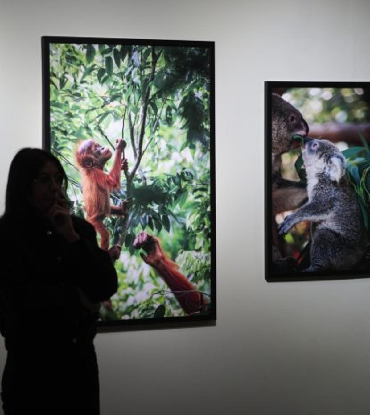 Exposición «¡Madre mía!».