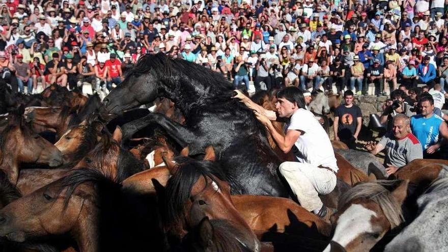 Imagen de la internacional Rapa das Bestas de Sabucedo. // Bernabé/Luismy