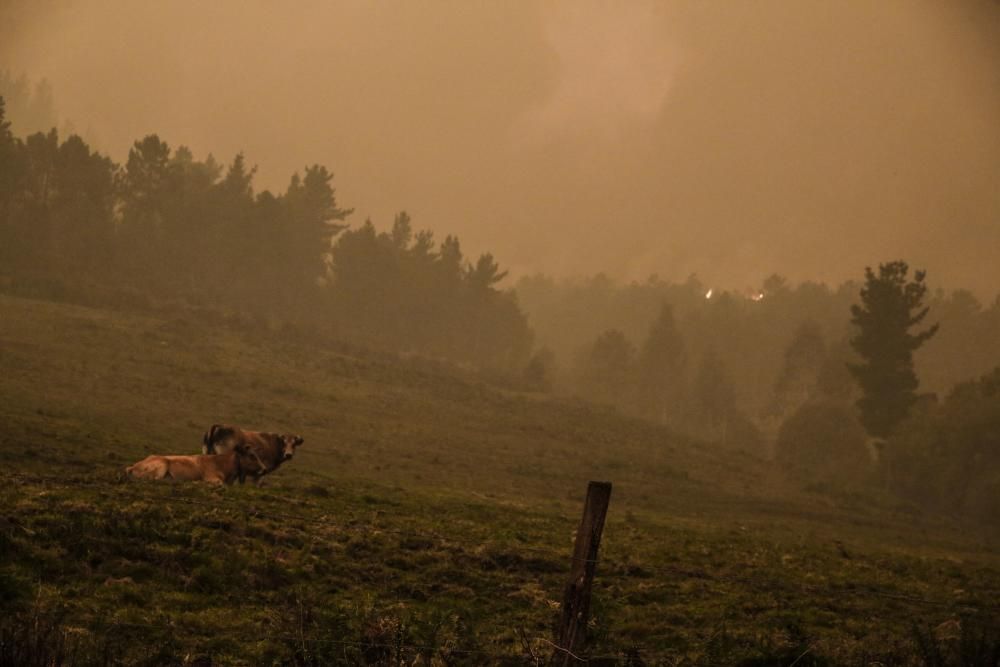 El suroccidente asturiano lucha contra las llamas