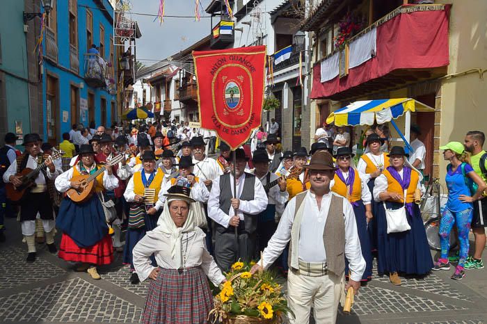 Carretas y grupos en la romería del Pino