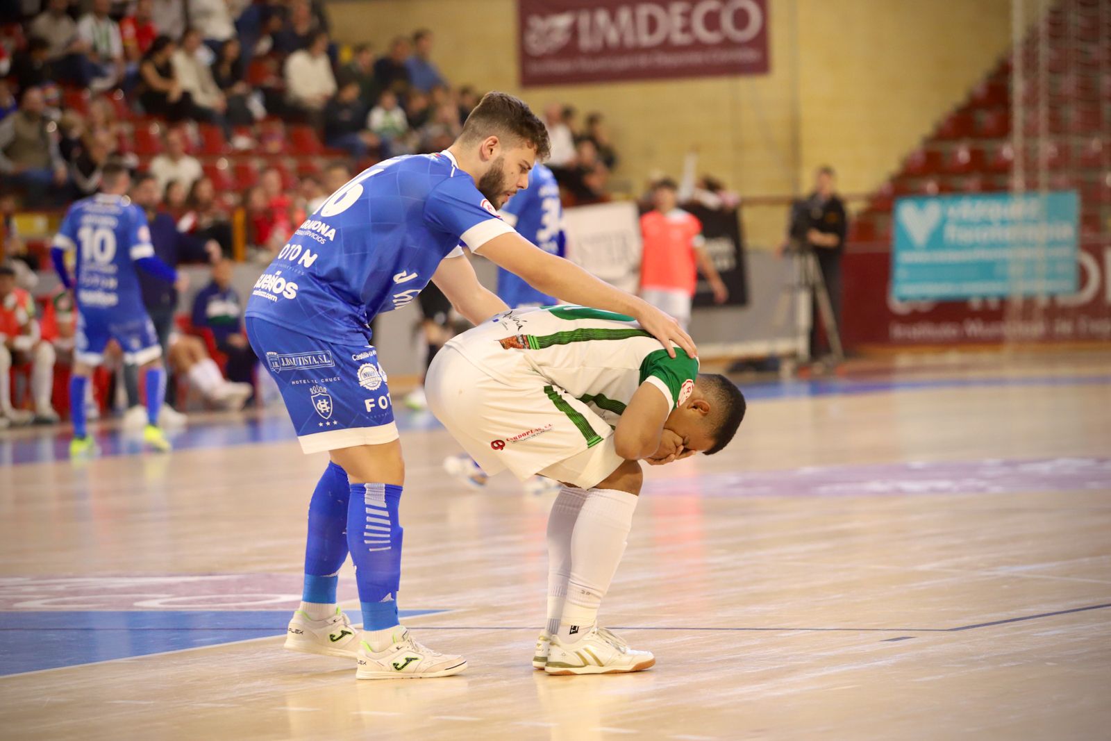 Córdoba Futsal - Manzanares : el partido en Vista Alegre en imágenes