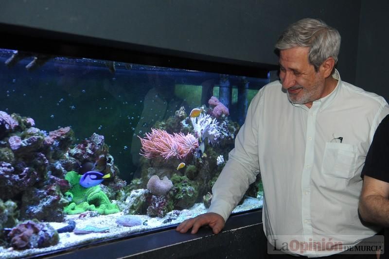 El acuario de la UMU albergará las especies emblemáticas del Mar Menor