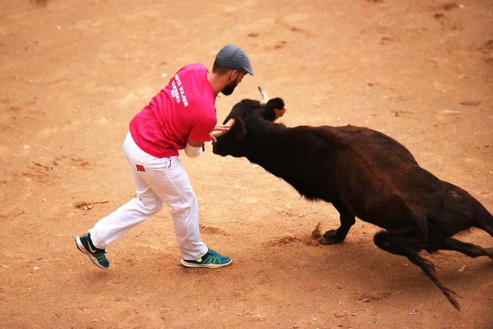 Corre de bou de Cardona