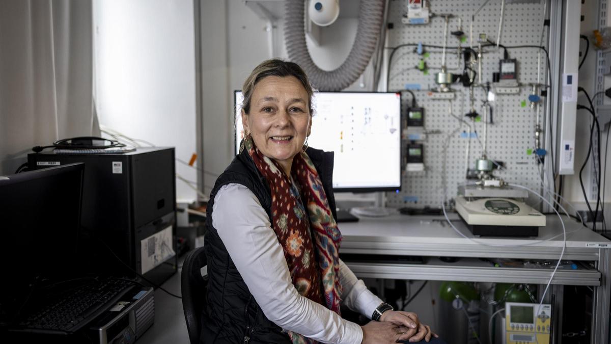 María Pilar Pina, profesora catedrática de la Universidad de Zaragoza e investigadora del INMA.