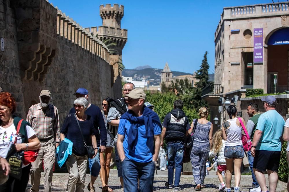 Llegan ocho cruceros y 22.000 turistas al puerto de Palma