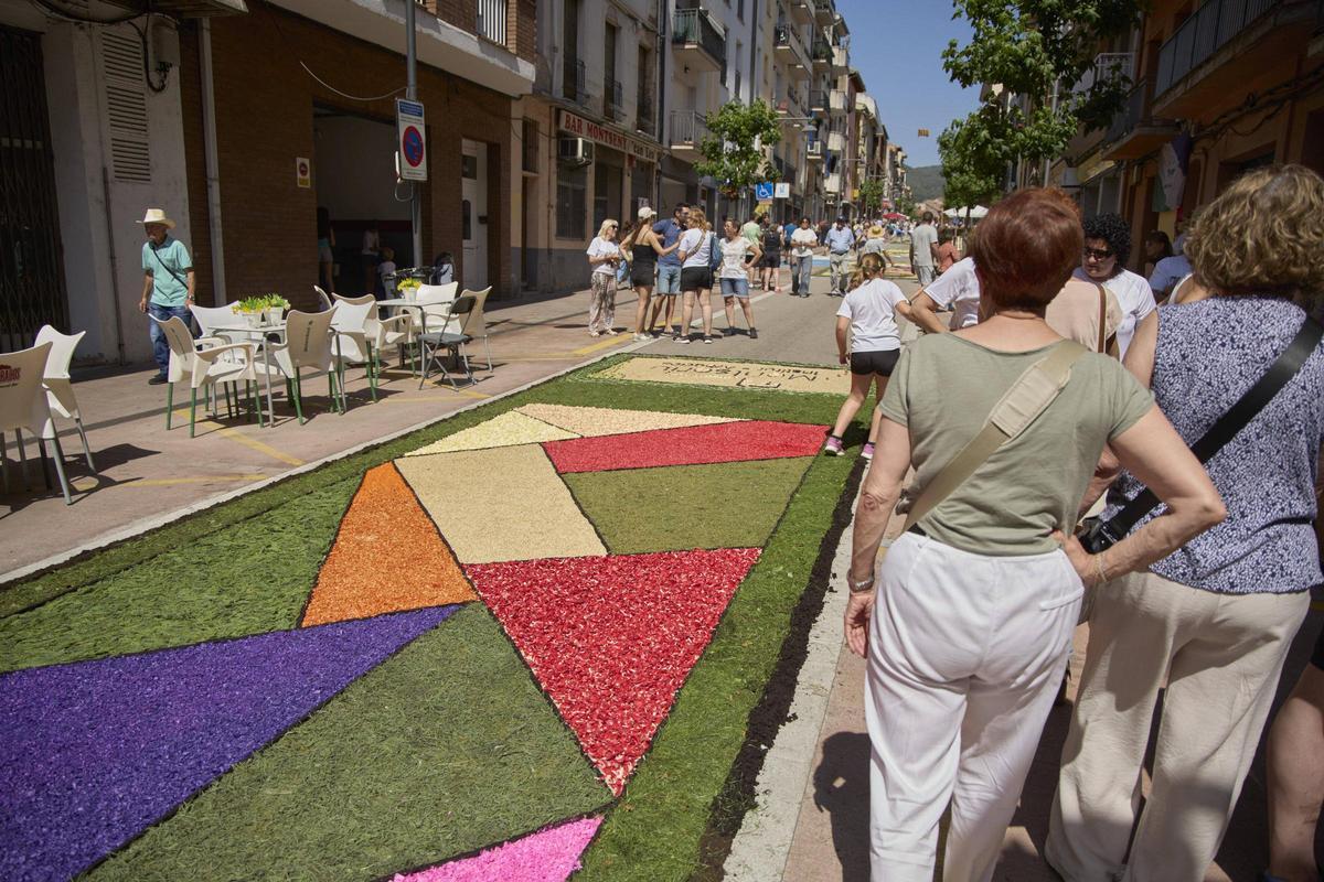 Les catifes d'Arbúcies en imatges