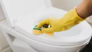De amarillo a blanco puro: cómo limpiar el fondo del inodoro con trucos caseros y rápidos