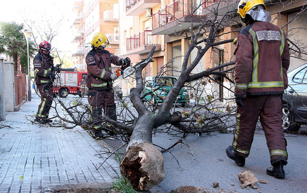 Els bombers retiren un arbre caigut a Valls. Els bombers retiren un arbre caigut a Valls.