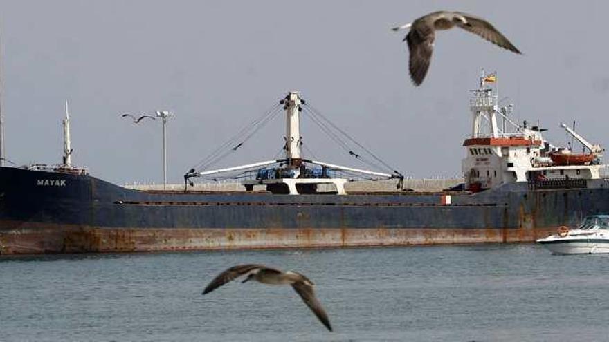 Último muelle en el que el Mayak estuvo atracado hasta el pasado 29 de diciembre.