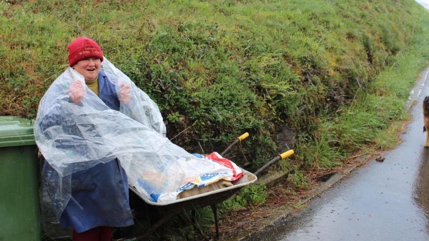 Comienza la recogida en Occidente de la patata afectada por la polilla