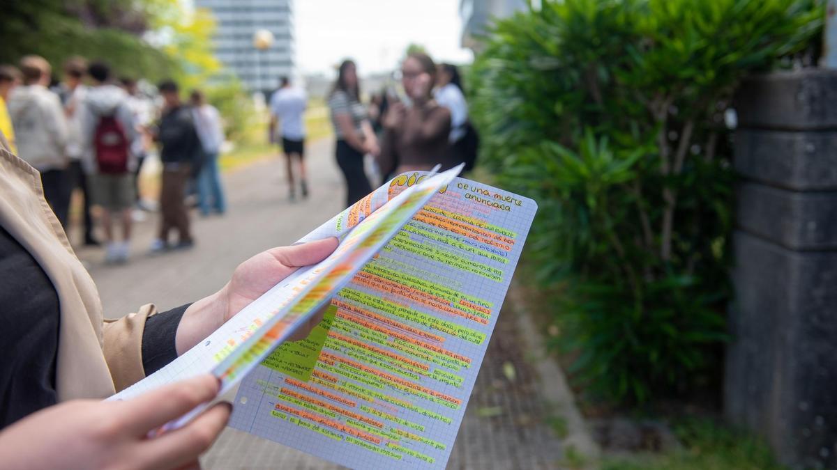 Una alumna repasa sus apuntes antes de entrar en un examen de Selectividad.