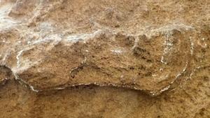 La huella de 153.000 años de antigüedad, ligeramente rodeada de tiza, en el Parque Nacional Garden Route, Sudáfrica.