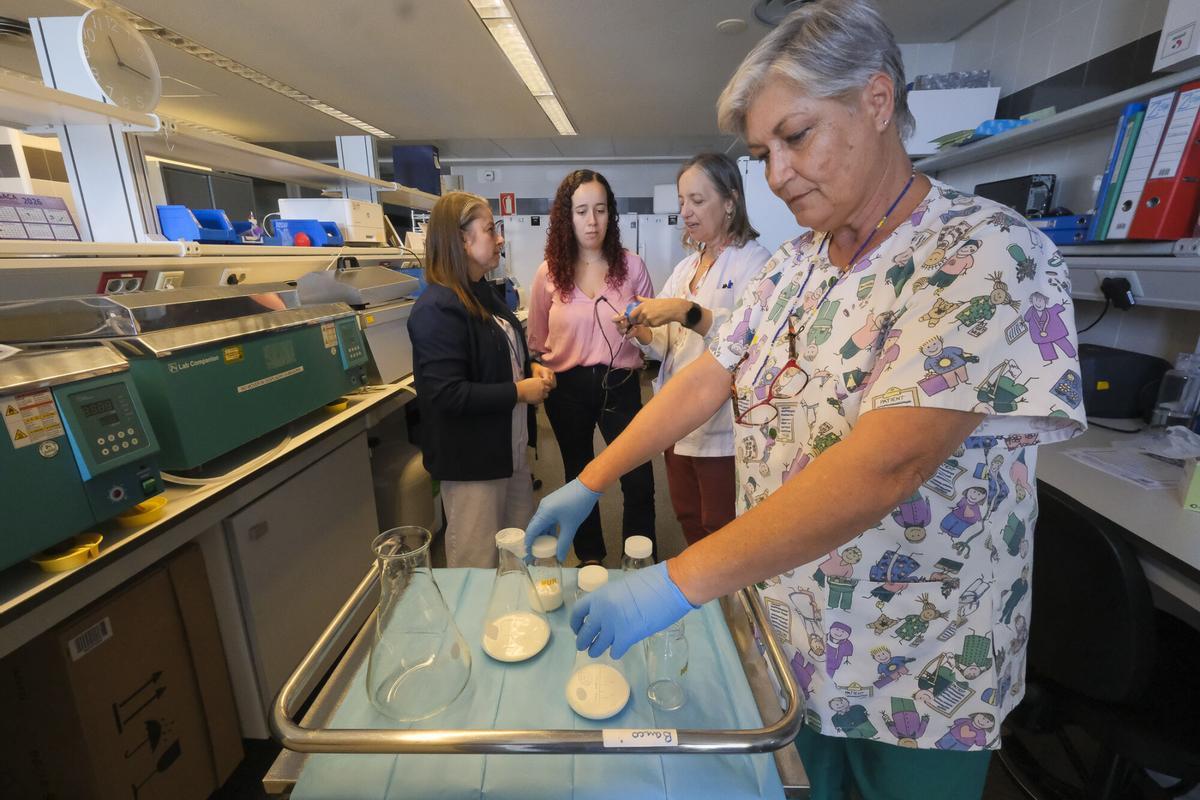 Banco de Leche del Materno Infantil en Gran Canaria Banco de Leche del Materno Infantil en Gran Canaria