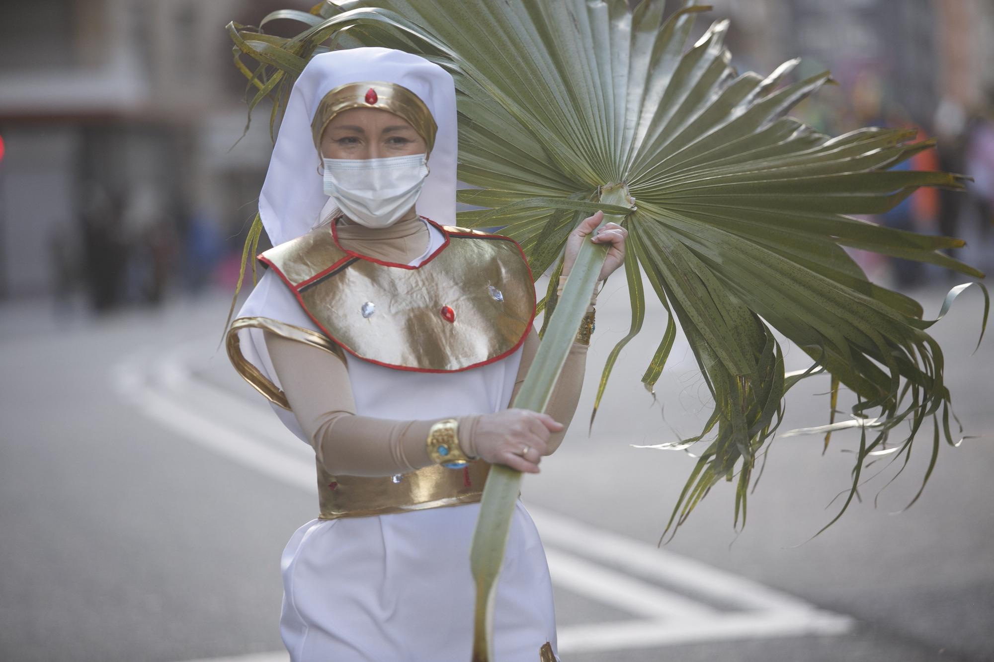 Galería de fotos: Así fue el gran desfile del carnaval en Oviedo