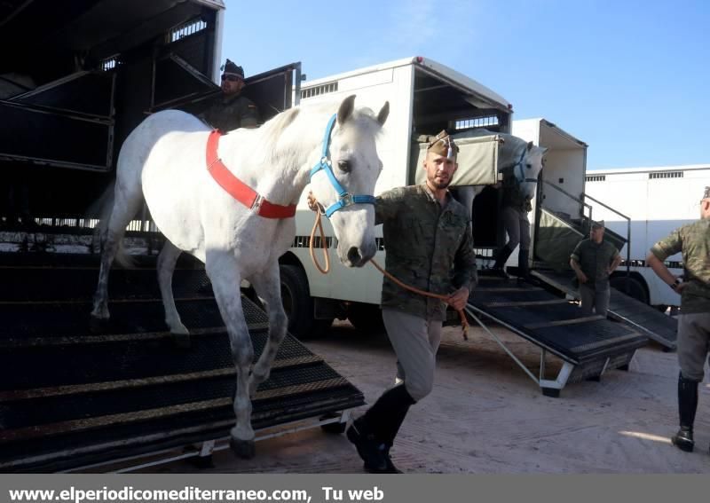 GUARDIA REAL