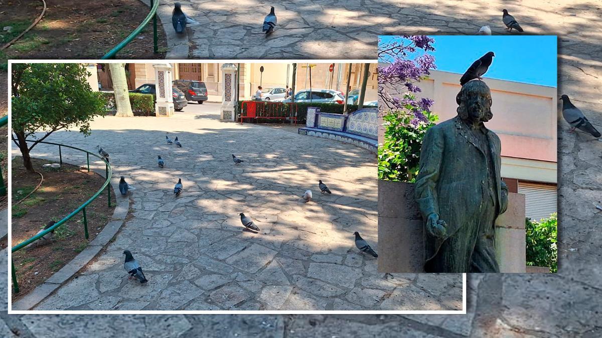 El jardín de Sant Pasqual es uno de los espacios en los que la sobrepoblación de palomas y tórtolas se considera como plaga.