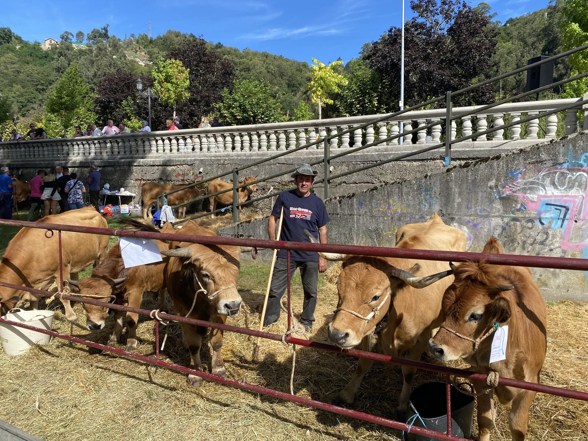 Concurso de ganado en la Feria de San Martín