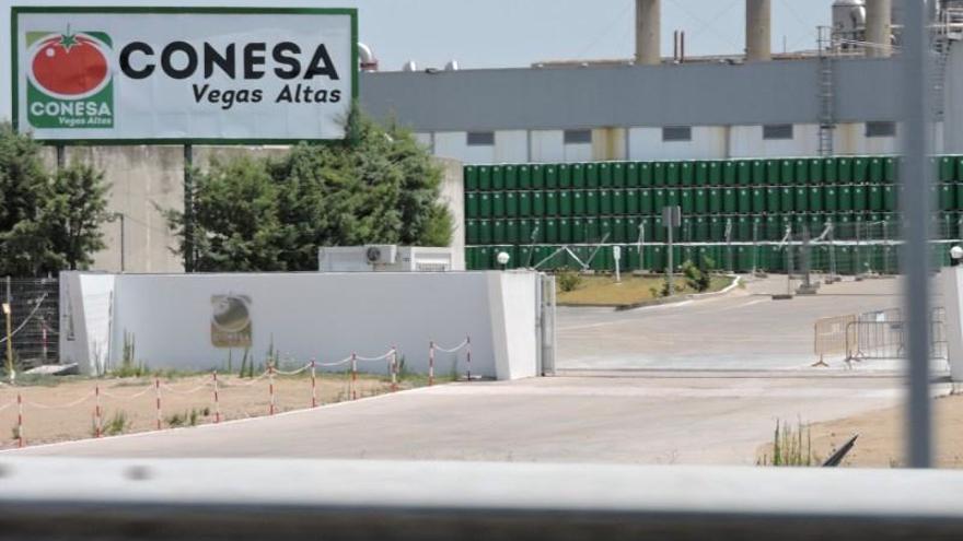 Conesa adquiere dos plantas de tomate en Sevilla y se convierte en el líder absoluto del sector